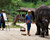 湄沙大象學校